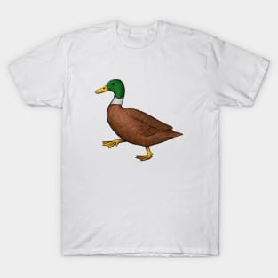 duck animal illustration, ducks family, wildlife, safari, T-Shirt